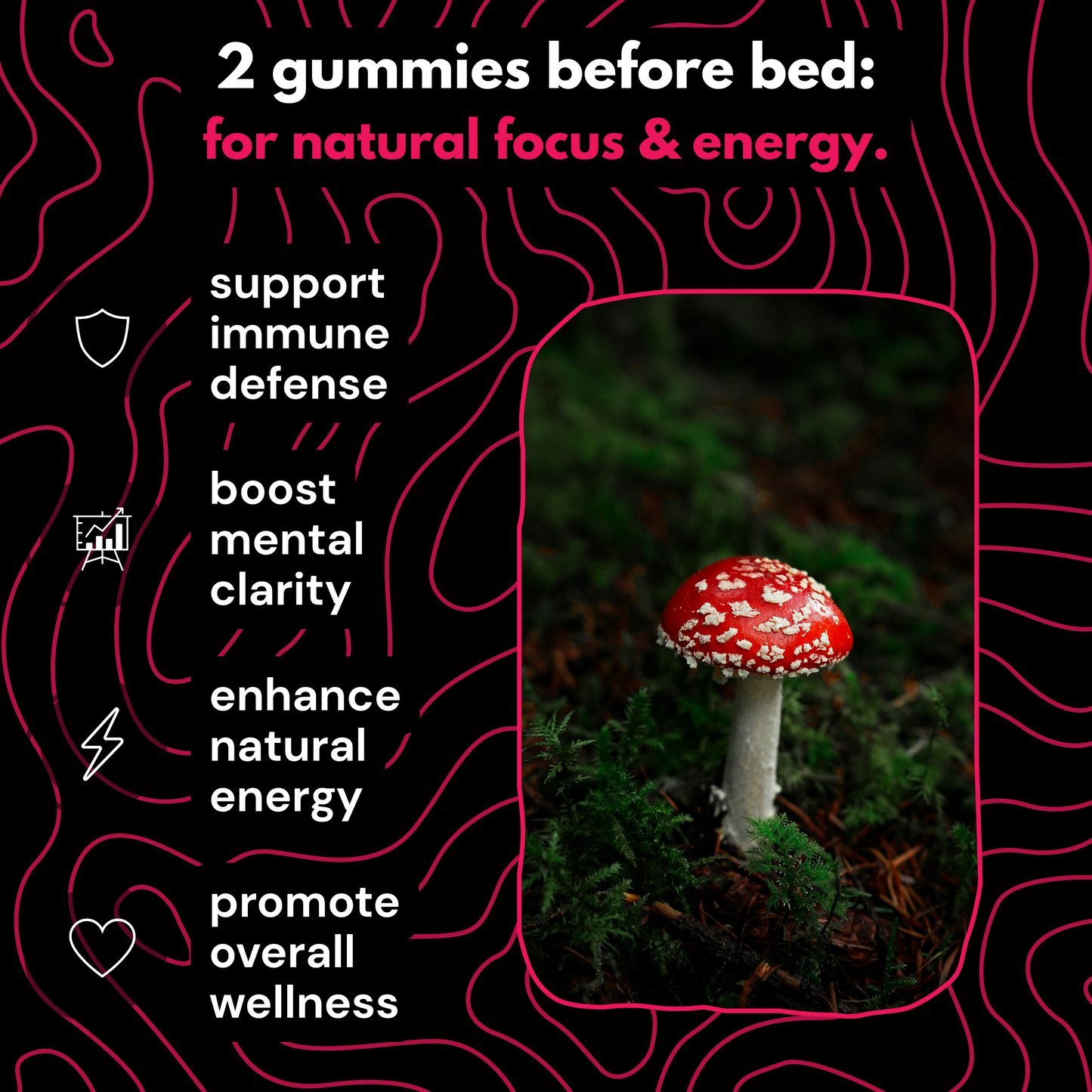 mushroom extract raspberry gummies.