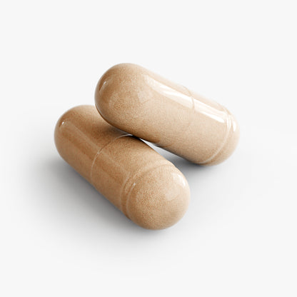 mushroom 10x capsules.